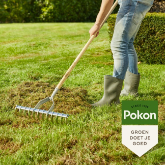 Pokon Compleet gazonpakket | Pokon | 125 m² (Gazonmest, graszaad en onkruidverdelger)  K170116026 - 