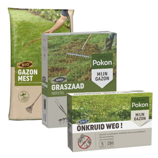 Pokon Compleet gazonpakket | Pokon | 250 m² (Gazonmest, graszaad en onkruidverdelger)  K170116027 - 1
