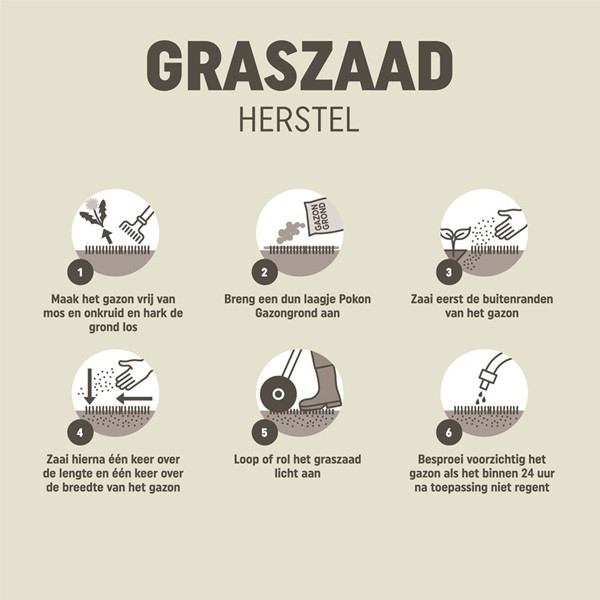 Pokon Compleet gazonpakket | Pokon | 30 m² (Gazonmest, graszaad en onkruidverdelger)  K170116024 - 6