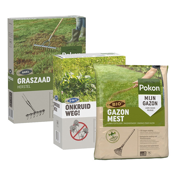 Pokon Compleet gazonpakket | Pokon | 75 m² (Gazonmest, graszaad en onkruidverdelger)  K170116025 - 1