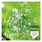 Pokon Concentraat tegen schimmels | Pokon | 250 ml (Vloeibaar, Bio-label ) 724034 K170115901 - 4