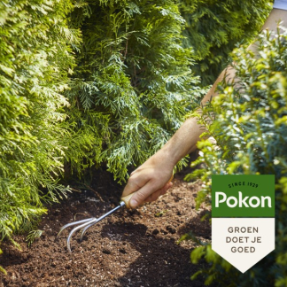 Pokon Coniferen en taxus mest | Pokon | 1 kg (Korrels, Voor 25 planten) 7182788100 K170116129 - 