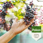 Pokon Druiven mest | Pokon | 1 kg (Voor 15 planten) 7628788100 K170115053 - 5