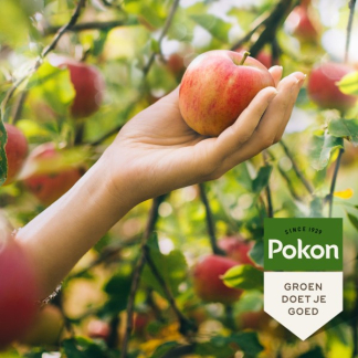 Pokon Fruitbomen mest | Pokon | 10 m² (1 kg, Bio-label) 7642788100 K170115052 - 