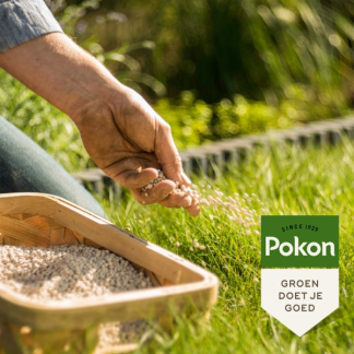 Pokon Gazon kalk | Pokon | 150 m² (15 kg, Bio-label) 7623564100 V170501471 - 