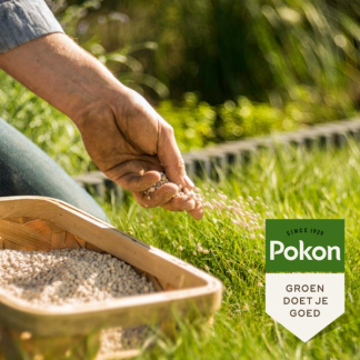 Pokon Gazon kalk | Pokon | 300 m² (30 kg, Bio-label) 7623564100 W170501471 - 