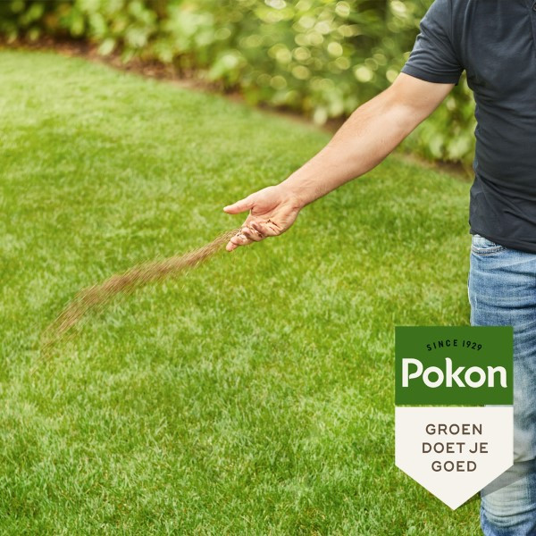 Pokon Gazonmest | Pokon | 1 kg (15 m², Bio-label) 7687788400 K170116011 - 5