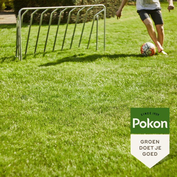 Pokon Graszaad | Pokon | 50 m² (Aanleg, 1 kg) 7683501100 K170116106 - 5