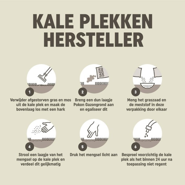 Pokon Graszaad 2-in-1 | Pokon | 5 m² (Kale plekken, Organische voeding, 200 gram) 7695782100 K170115058 - 4