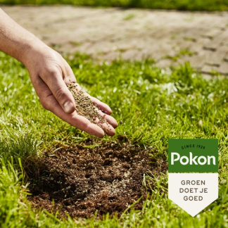 Pokon Graszaad 2-in-1 | Pokon | 5 m² (Kale plekken, Organische voeding, 200 gram) 7695782100 K170115058 - 5