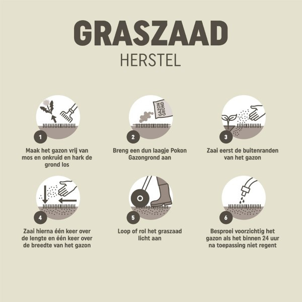 Pokon Graszaad herstel | Pokon |  10 - 15 m² (Snel kiemend, 250 gram) 7684411100 K170116100 - 4