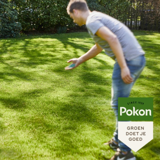 Pokon Graszaad schaduw | Pokon | 10 - 15 m² (Aanleg en herstel, Anti-mos, 250 gram) 7685411100 K170115059 - 5