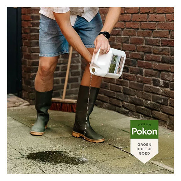 Pokon Groene aanslag verwijderaar | Pokon | 50 m² (Gebruiksklaar, 5 liter)  K170405313 - 2
