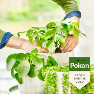 Pokon Groene kamerplanten voeding | Pokon | 500 ml (Bio-label) 7700313100 K170112304 - 