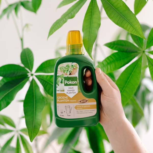 Pokon Groene kamerplanten voeding | Pokon | 500 ml (Bio-label) 7700313100 K170112304 - 6