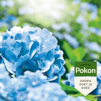 Pokon Hortensia blauwmaker | Pokon | 500 gram (Poeder) 7582678100 K170115057 - 