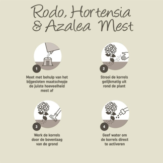 Pokon Hortensia mest | Pokon | 2.5 kg (Ook voor Rododendron en Azalea, Voor 65 planten) 7202010014 K170112312 - 4