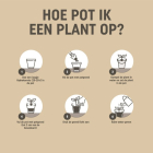 Pokon Hortensia potgrond | Pokon | 30 liter (Bio-label) 7929820400 K170116148 - 4