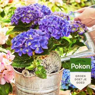 Pokon Hortensia potgrond | Pokon | 30 liter (Bio-label) 7929820400 K170116148 - 