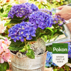 Pokon Hortensia potgrond pallet | 2250 L | Pokon (Bio-label) 7929820400-75 Q170116148 - 7