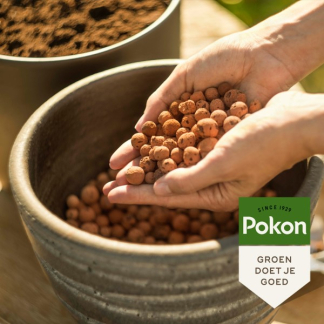 Pokon Hydrokorrels pallet | 400 L | Pokon (Natuurlijk)  X170116164 - 7
