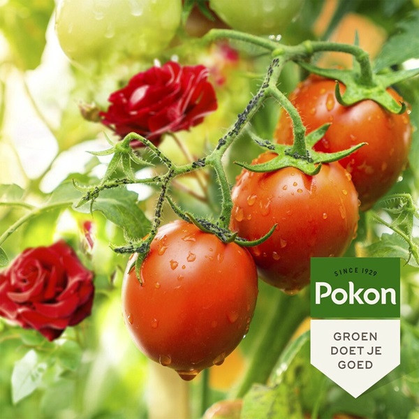 Pokon Insectenspray | Pokon | 800 ml | 3 stuks (Biologisch, Bladinsecten)  V170115088 - 5