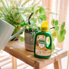 Pokon Kamerplanten voeding | Pokon | 500 ml (Vloeibaar, Bio-label) 7000313100 K170116185 - 5