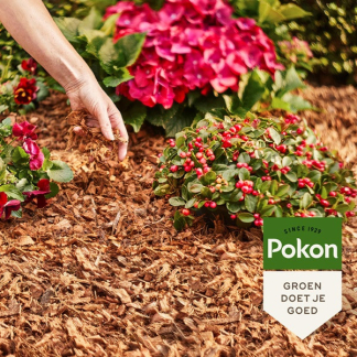 Pokon Kokosvezels pallet | 2250 L | Pokon (Natuurlijk)  Q170505349 - 5