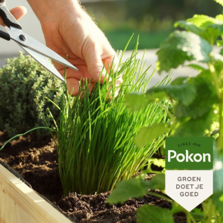 Pokon Kruiden mest | Pokon | 1 kg (Voor 30 planten, Bio-label) 7667788100 K170115055 - 