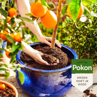 Pokon Mediterrane potgrond pallet | 600 L | Pokon (Bio-label)  P170116146 - 