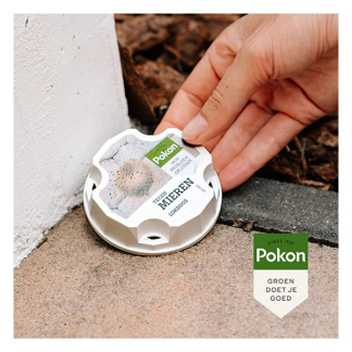 Pokon Mierenlokdoos | Pokon | 2 stuks 723101 K170112136 - 3