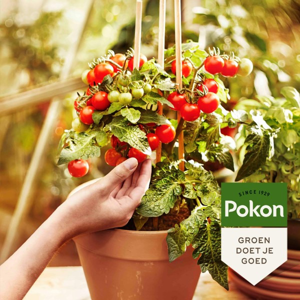 Pokon Moestuingrond | Pokon | 10 liter (Bio-label, Turfvrij) 7202010124 7961564400 7961601400 K170115696 - 4