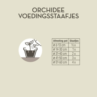 Pokon Orchideeën voeding | Pokon | 24 stuks (Staafjes) 7153178402 K170116122 - 