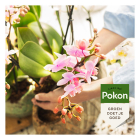 Pokon Orchidee potgrond | Pokon | 5 liter (Bio-label, Turfvrij) 724086 K170115887 - 4