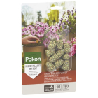 Plantenvoeding | Pokon | 10 stuks (Terrasplanten, Balkonplanten, Kegels)