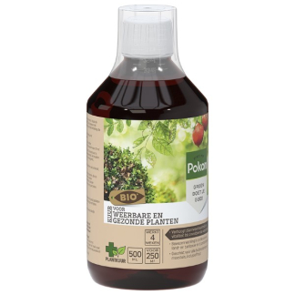 Pokon Plantkuur voor buitenplanten en moestuin | Pokon | 500 ml (Concentraat) 7033036100 K170112314 - 1