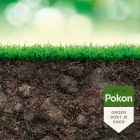 Pokon Plantkuur voor gazon | Pokon | 500 ml (Concentraat) 7031036100 K170115692 - 5