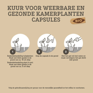 Pokon Plantkuur voor kamerplanten | Pokon | 12 stuks (Capsules) 7007006100 K170115297 - 