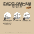 Pokon Plantkuur voor kamerplanten | Pokon | 12 stuks (Capsules) 7007006100 K170115297 - 4