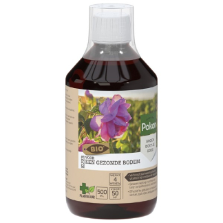 Pokon Plantkuur voor moes- en siertuin | Pokon | 500 ml (Concentraat) 7202010187 K170115700 - 1