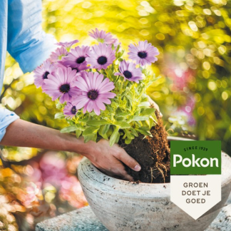 Pokon Potgrond | Pokon | 10 liter (Universeel, Langwerkend) 7921608100 K170115694 - 