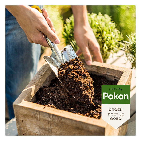Pokon Potgrond | Pokon | 10 liter (Universeel, Premium, Turfvrij) 724077 K170115877 - 4