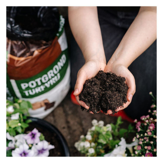 Pokon Potgrond | Pokon | 20 liter (Universeel, Turfvrij) 724025 K170115880 - 4