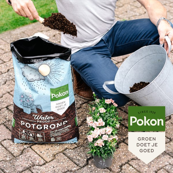 Pokon Potgrond | Pokon | 30 liter (Waterhoudend, Turfvrij, Veenvrij) 7202010003 K170505182 - 5