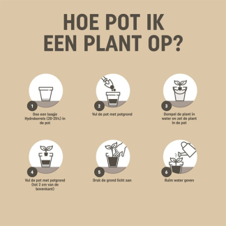 Pokon Potgrond | Pokon | 45 liter (Universeel, Bio-label, Turfvrij) 7202010113 724038 K170505341 - 4