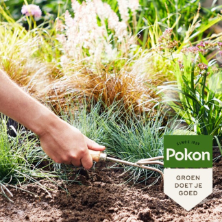 Pokon Siergrassen & bamboe mest | Pokon | 1 kg (Voor 25 planten) 7202010016 K170112311 - 