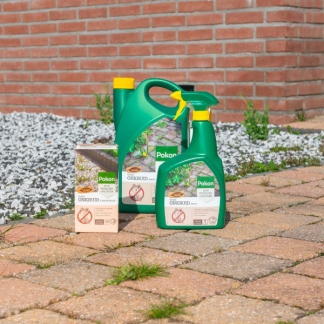 Pokon Tegen Onkruid | Spray (Gebruiksklaar, 3 liter) 7078033100 C170115063 - 