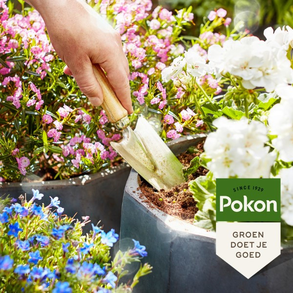 Pokon Terras- en balkonplanten potgrond | Pokon | 20 liter (Met voeding) 7927602101 K170115687 - 5