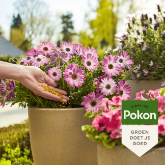 Pokon Terras- en balkonplanten voeding | Pokon | 1800 gram (Korrels) 7670415100 K170116003 - 