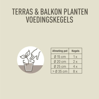Pokon Terras- en balkonplanten voeding | Pokon | 40 stuks (Kegels) 7651803100 K170116001 - 